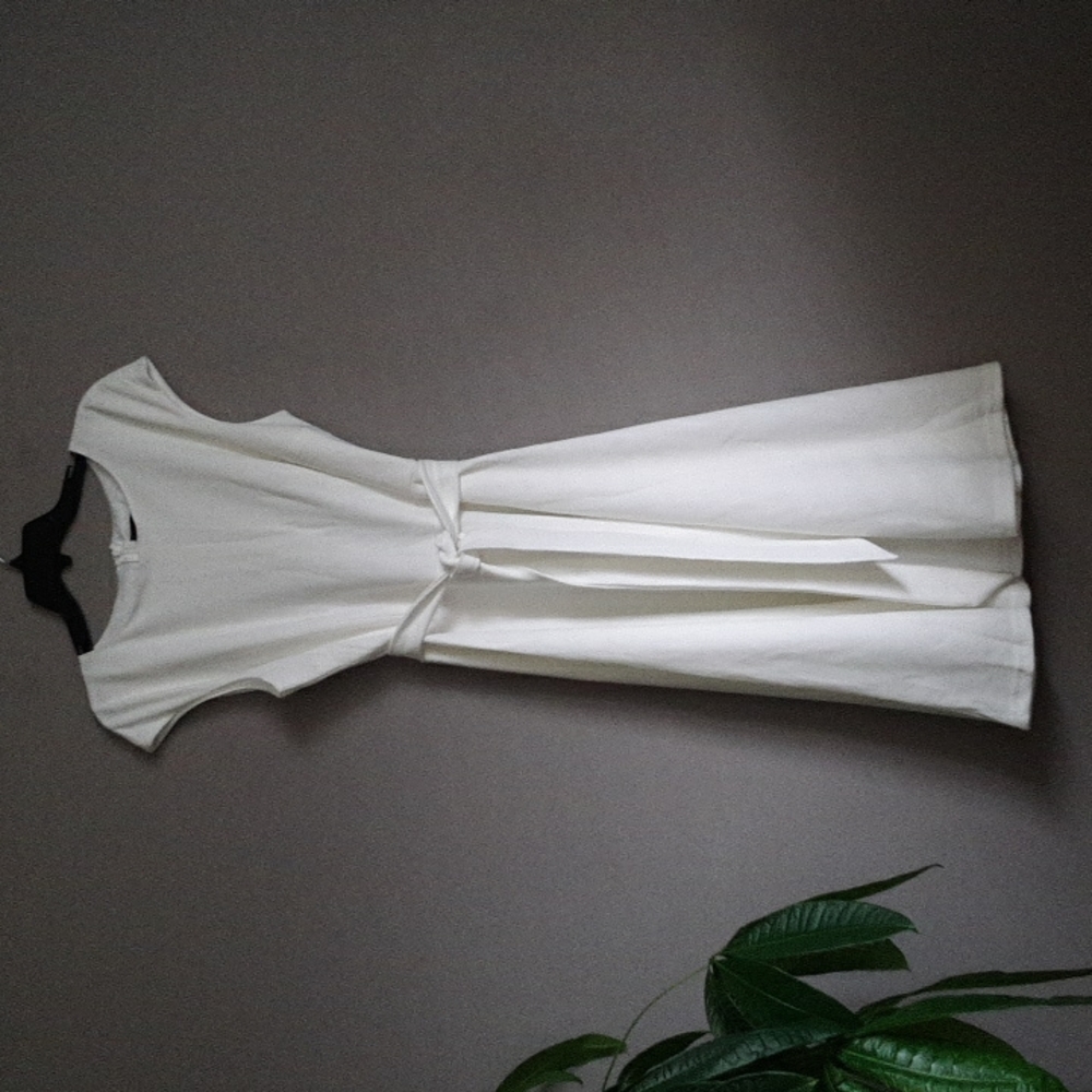 Dress Tells Flare Dress NWOT